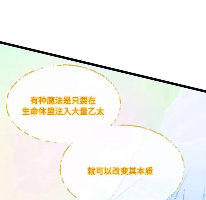 33 第63页