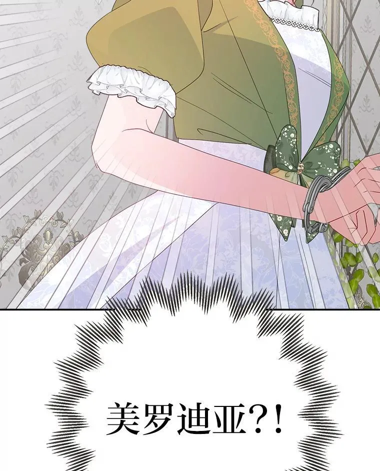 68.对峙 第84页