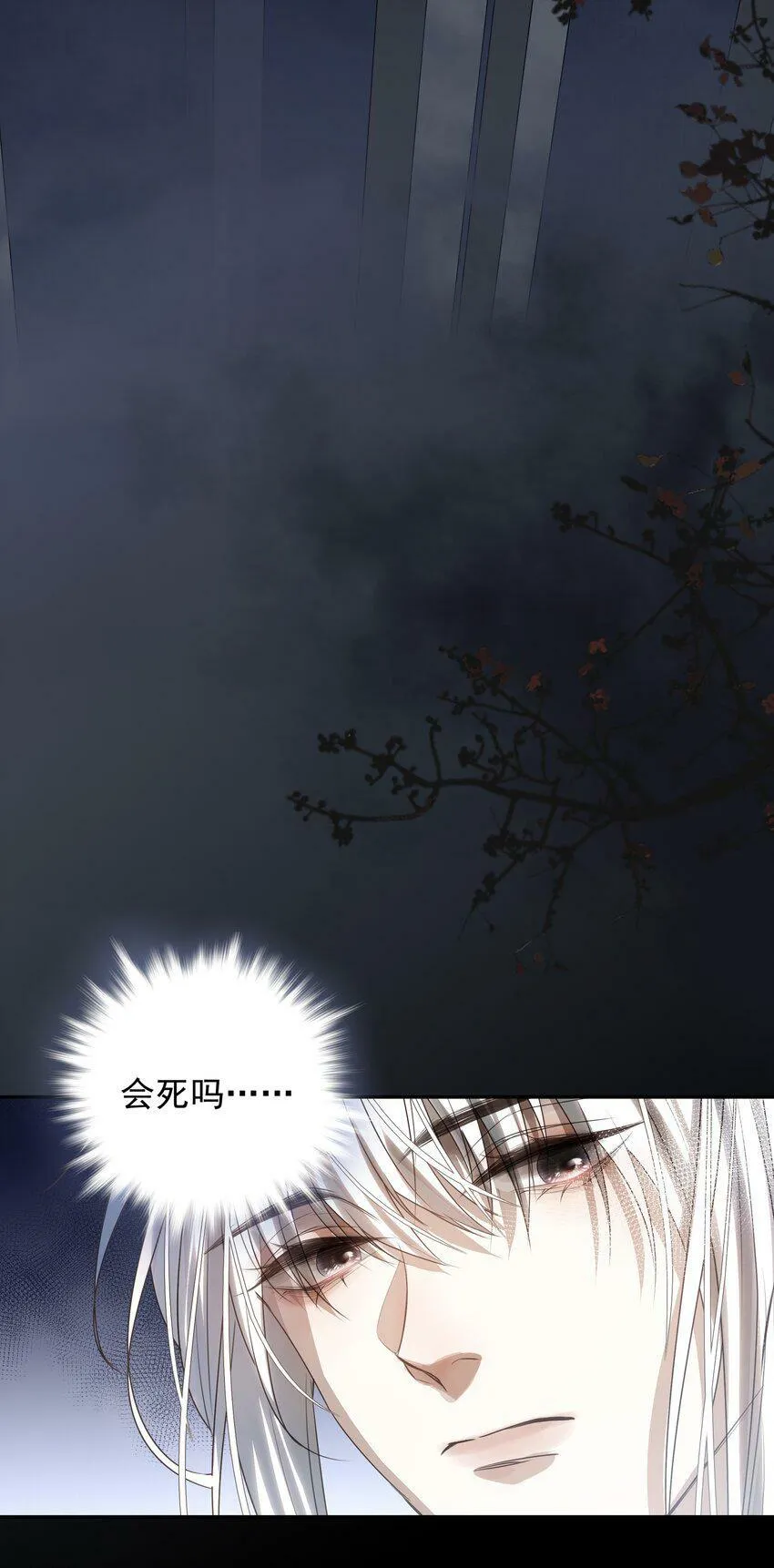 13 决明心魔初现 第11页