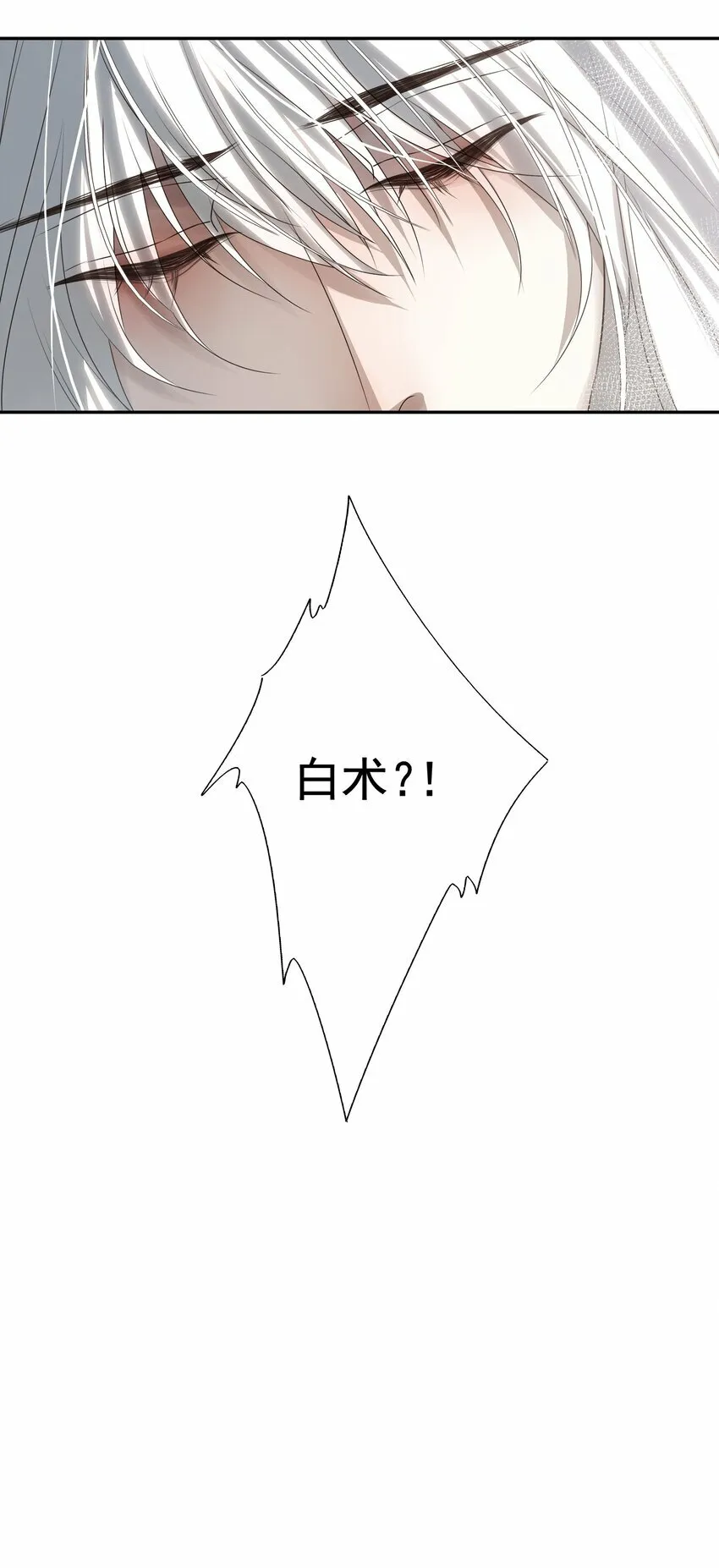 21 白术身上的傀儡符文 第17页