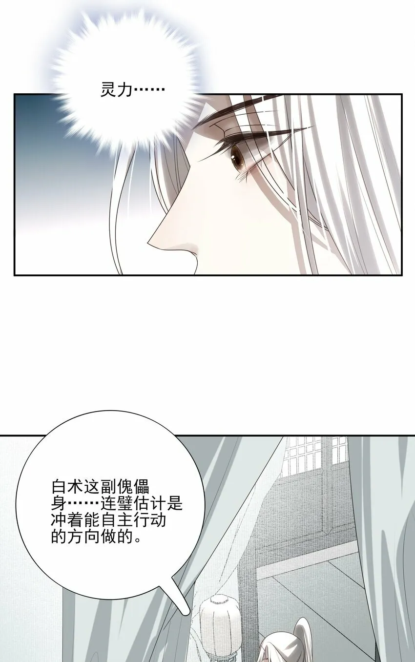21 白术身上的傀儡符文 第29页