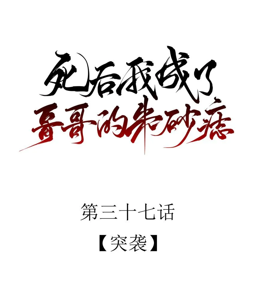 37 突袭 第17页