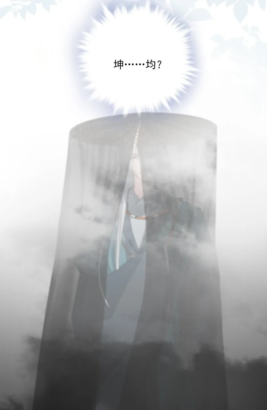 37 突袭 第46页