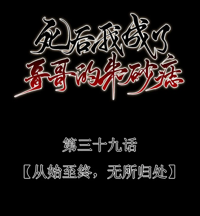 39 从始至终，无所归处 第12页