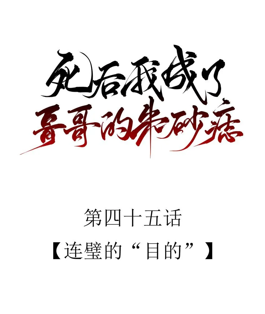 45 连璧的“目的” 第13页