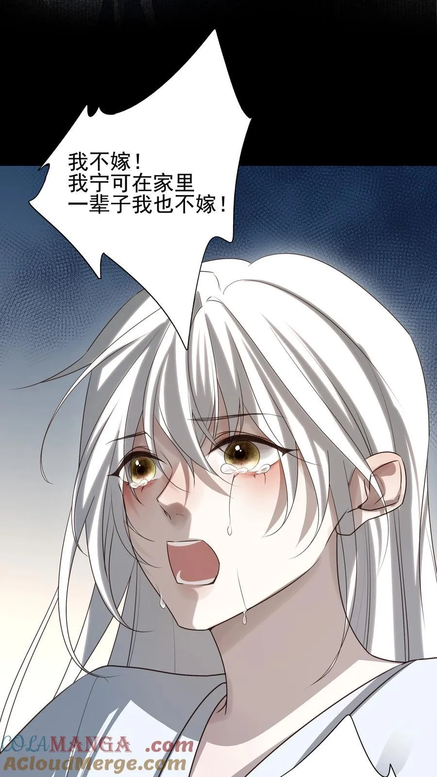 60 封闭的门窗 第46页