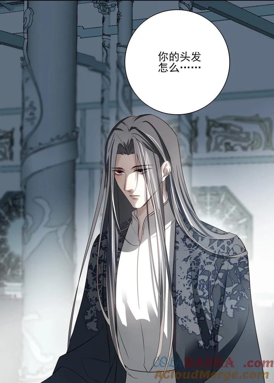 番外二 决明的白发 第37页