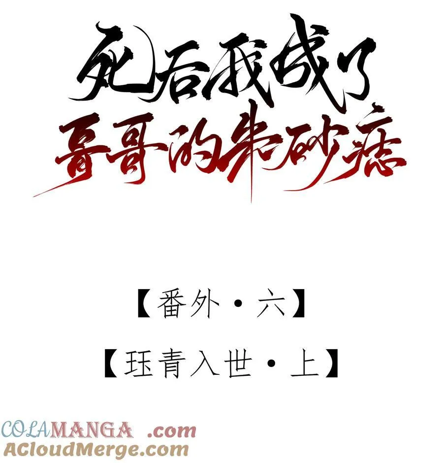 番外六 珏青入世·上 第13页