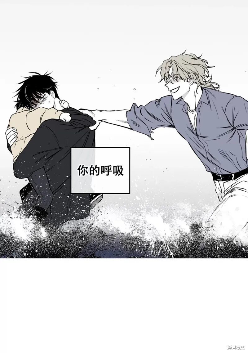 第50话 第13页