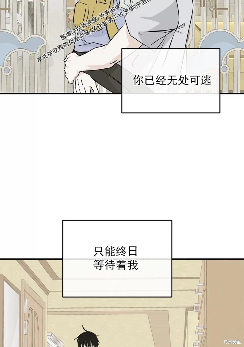 第50话 第19页