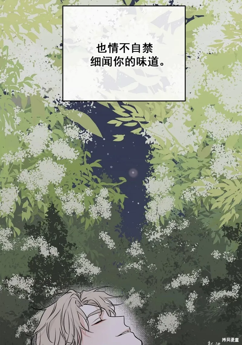 第50话 第36页