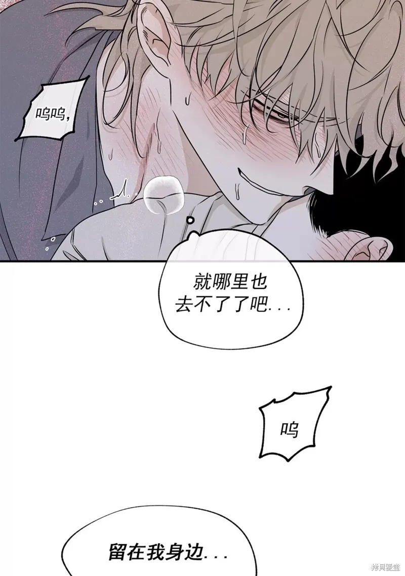第54话 第44页