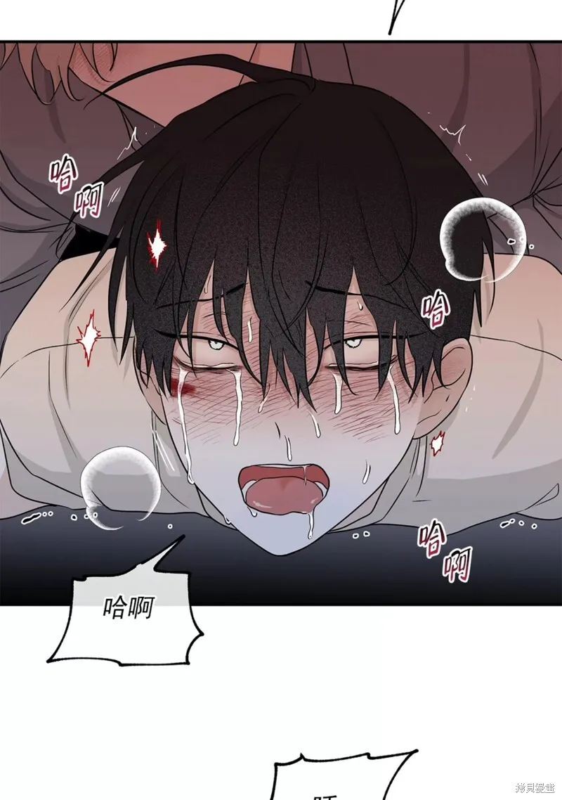 第54话 第52页