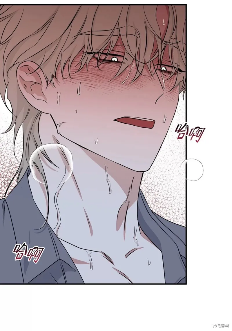 第54话 第70页