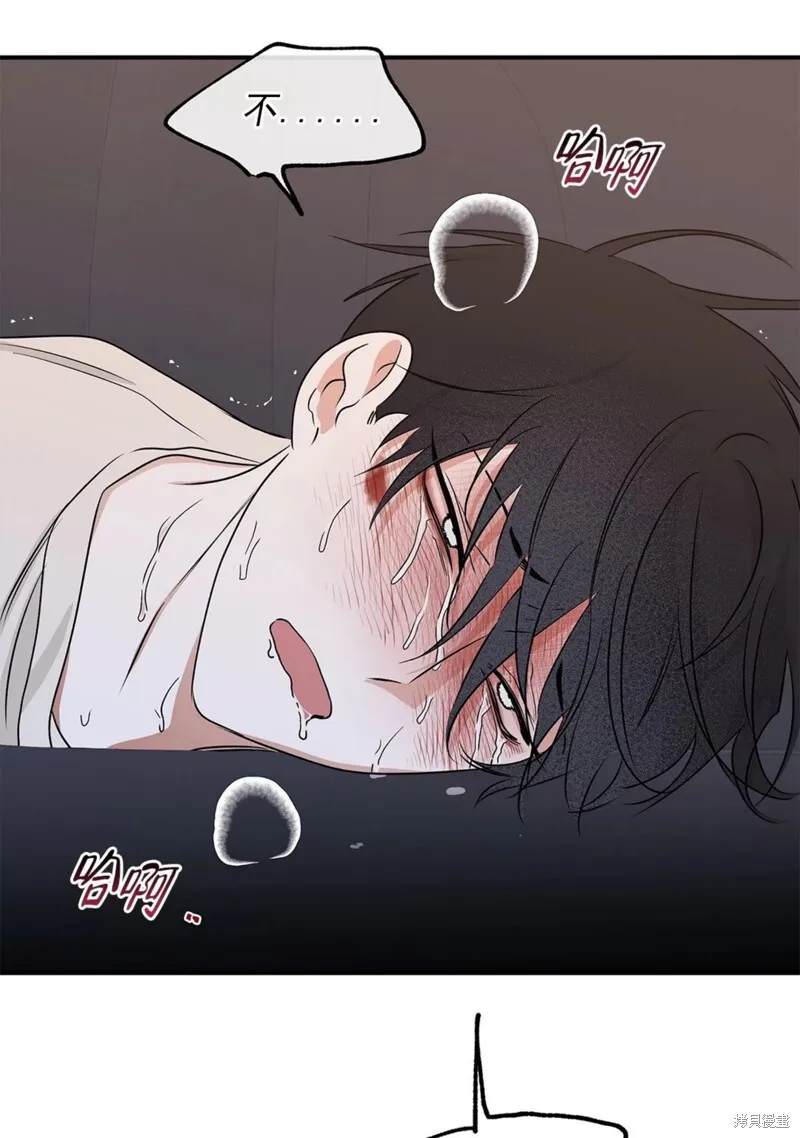第54话 第71页