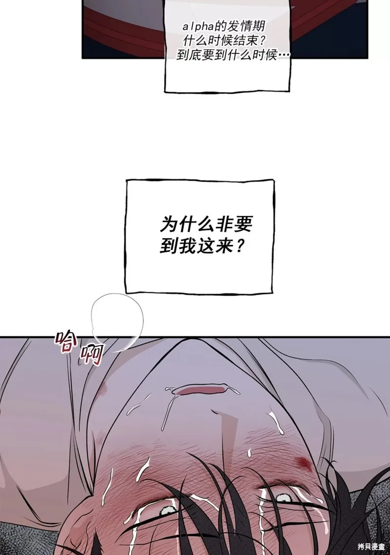 第55话 第28页