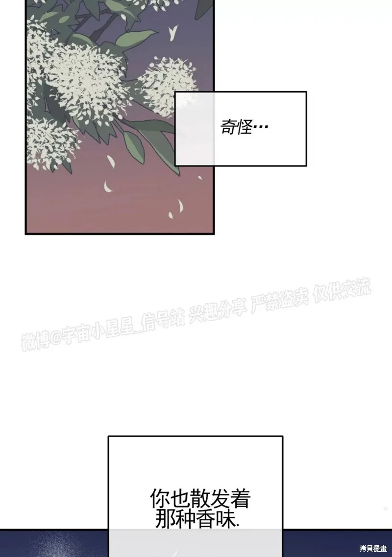 第67话 第25页
