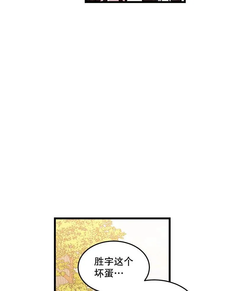33.胜宇好像并不这样想 第74页