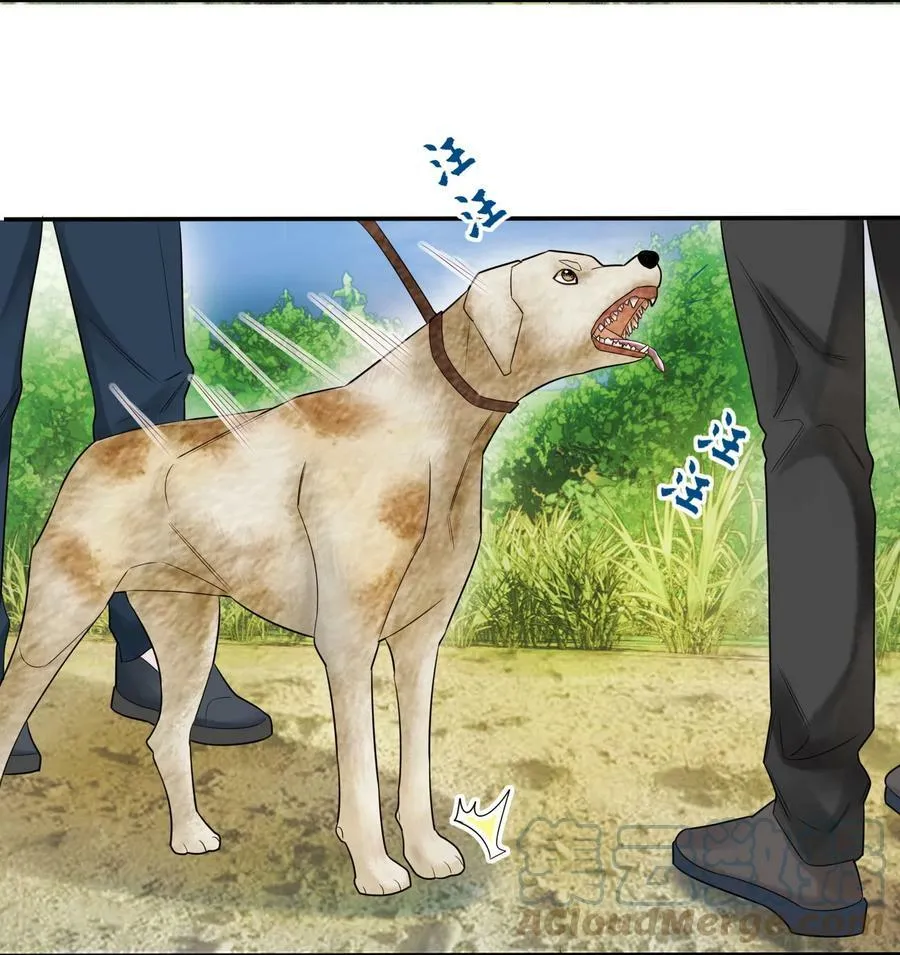 013 落雁滩 第13页