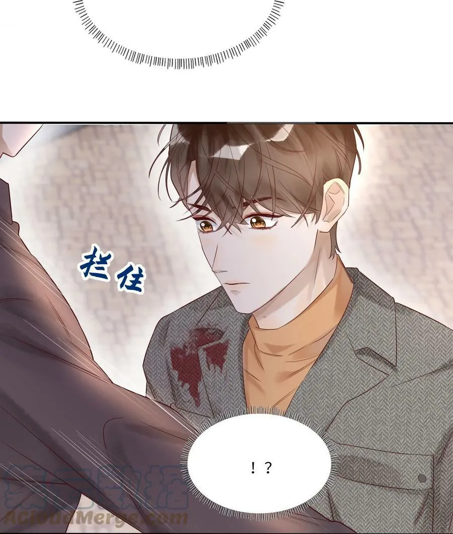 015 训犬 第15页