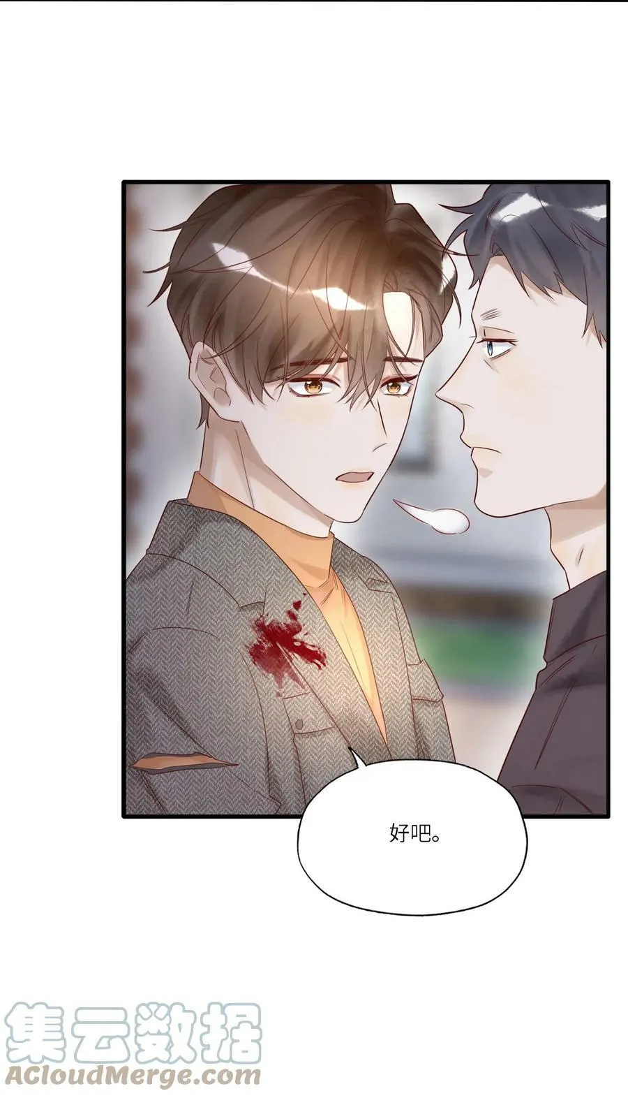 015 训犬 第17页