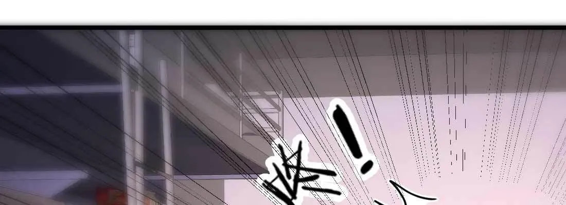 成功匹配 第3页