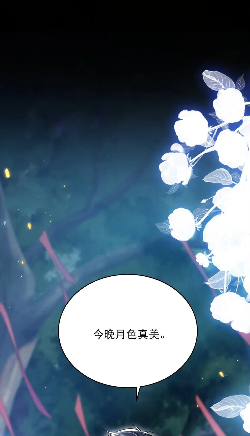 048 今晚月色真美！ 第21页