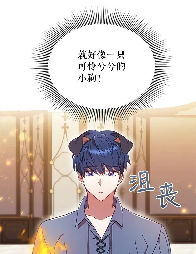 10.开张 第6页