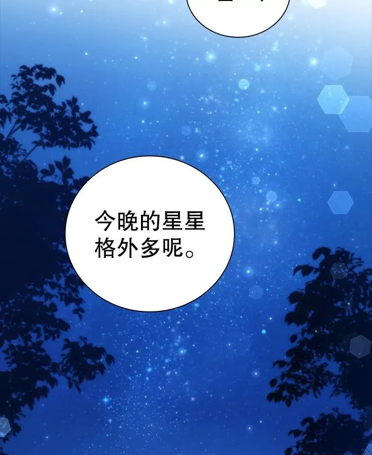 62.夜空下的交谈 第63页