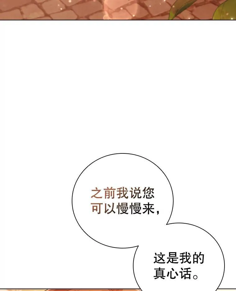 65.策划走秀 第3页