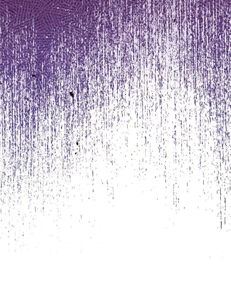 73.反响热烈 第18页