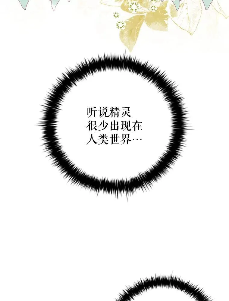 90.精灵 第79页