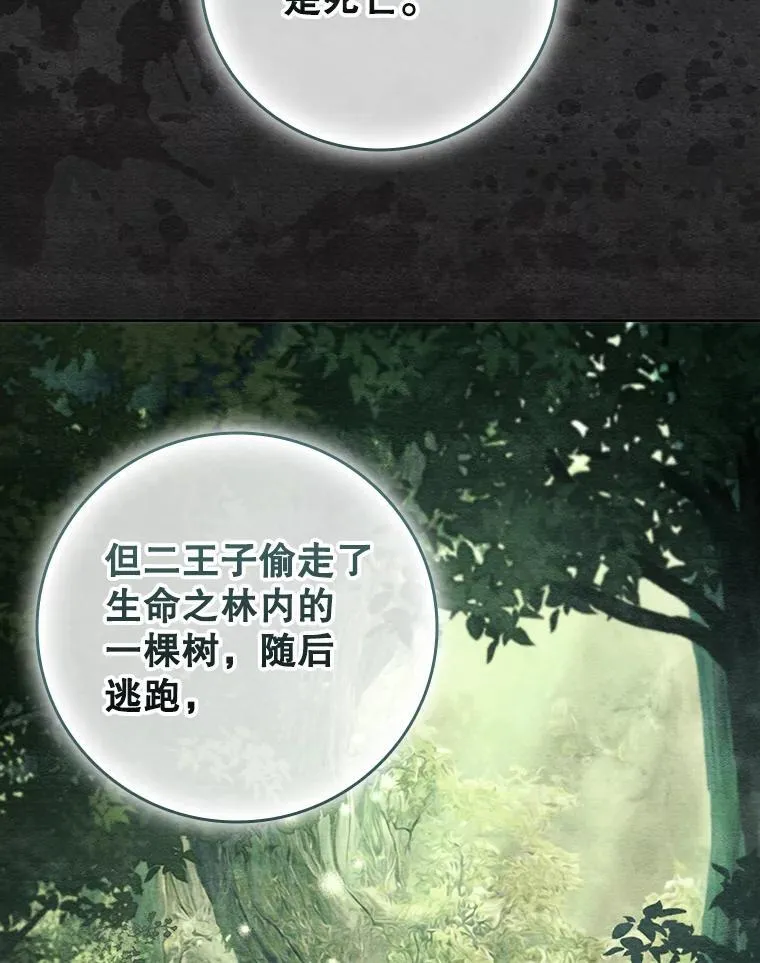 94.公主的邀请 第26页