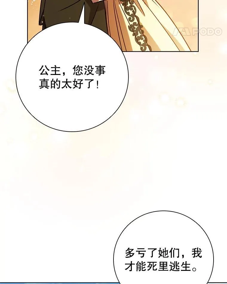 95.回王国的办法 第12页
