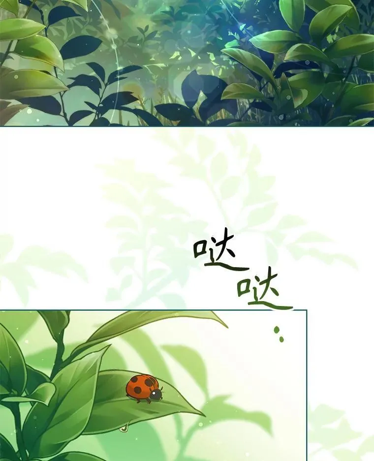 97.精灵王国 第28页