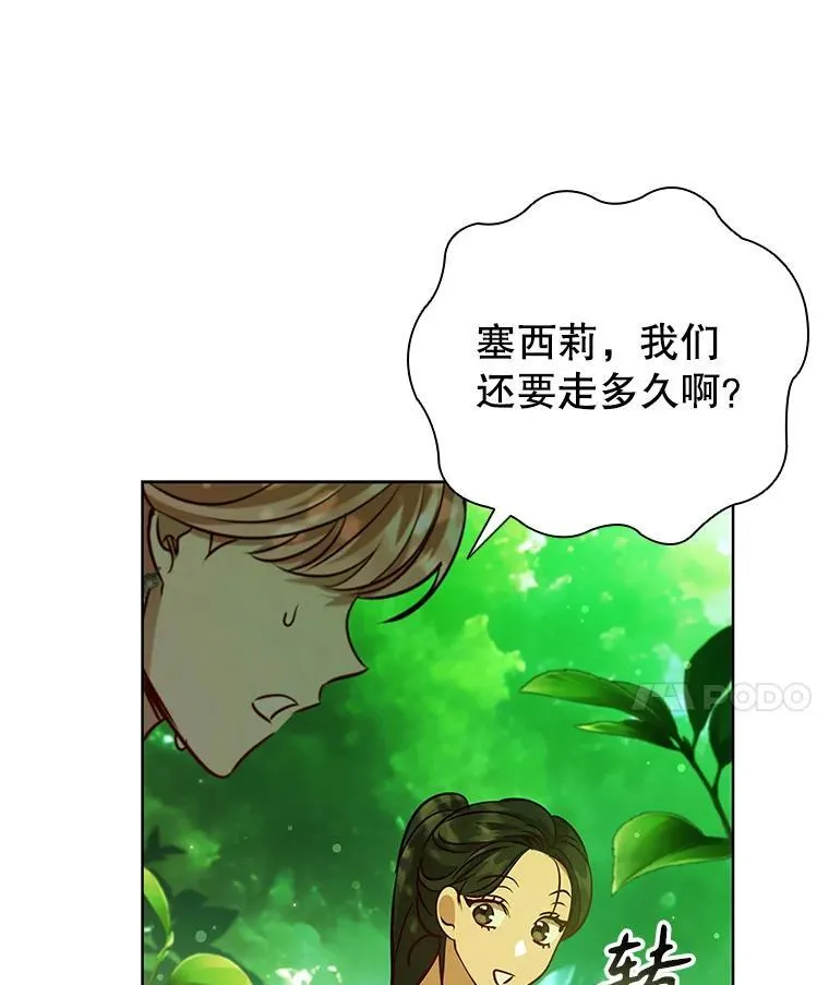 97.精灵王国 第36页