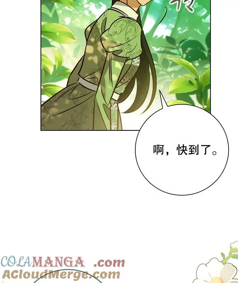 97.精灵王国 第37页