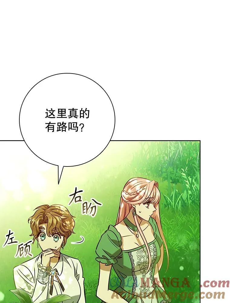 97.精灵王国 第49页