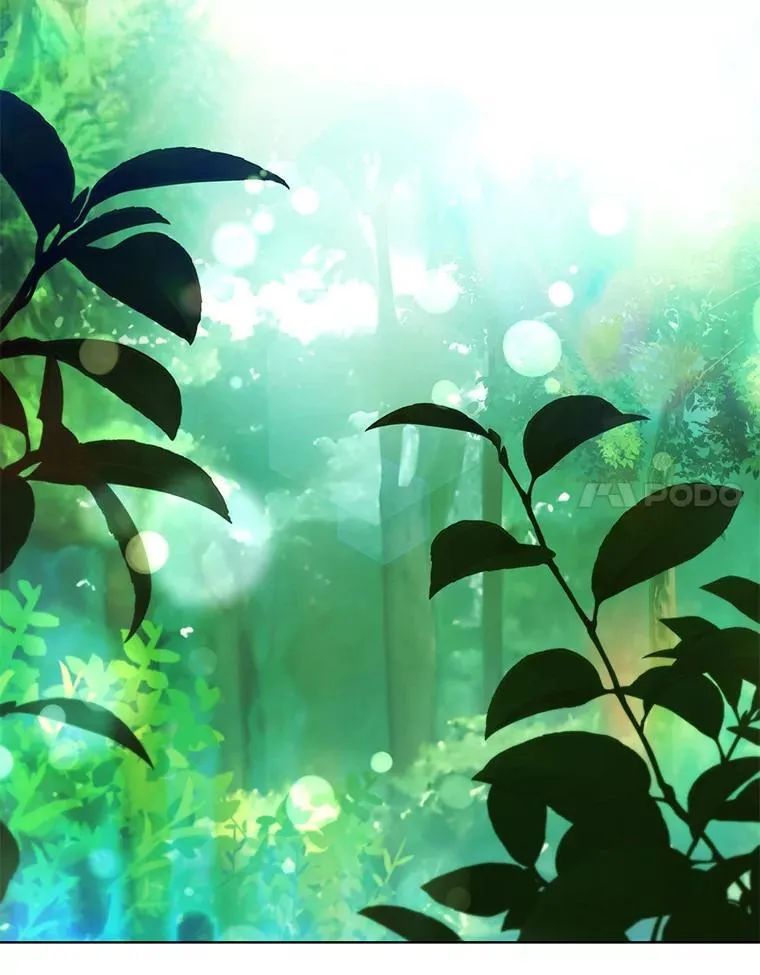 97.精灵王国 第63页