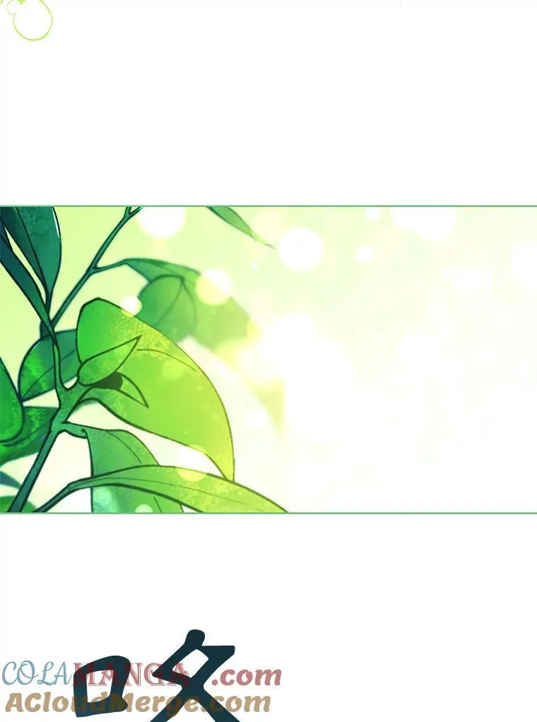 97.精灵王国 第81页