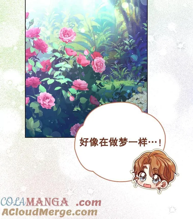 97.精灵王国 第85页