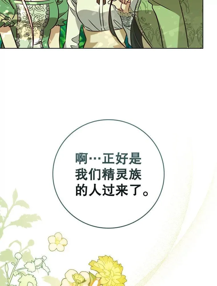 97.精灵王国 第96页