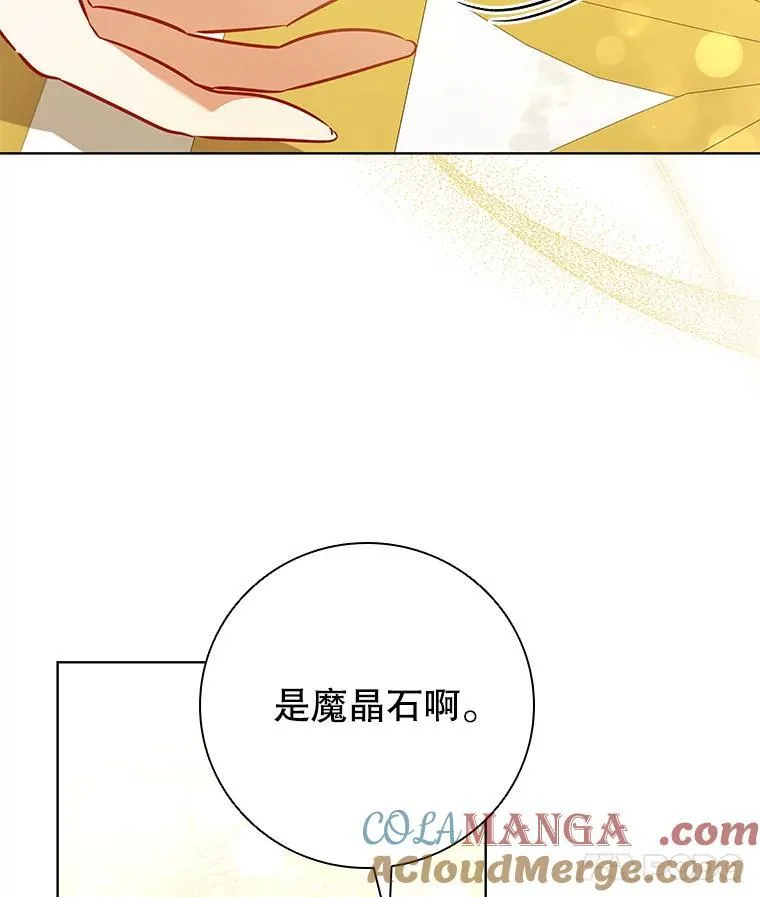 99.魔晶石 第57页