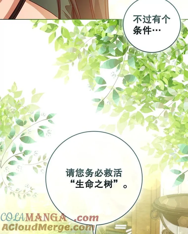 113.寻找投资方 第57页
