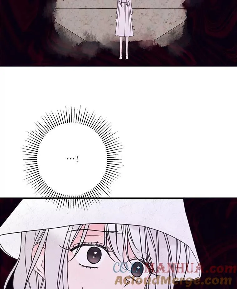 18.巴勒神殿 第52页