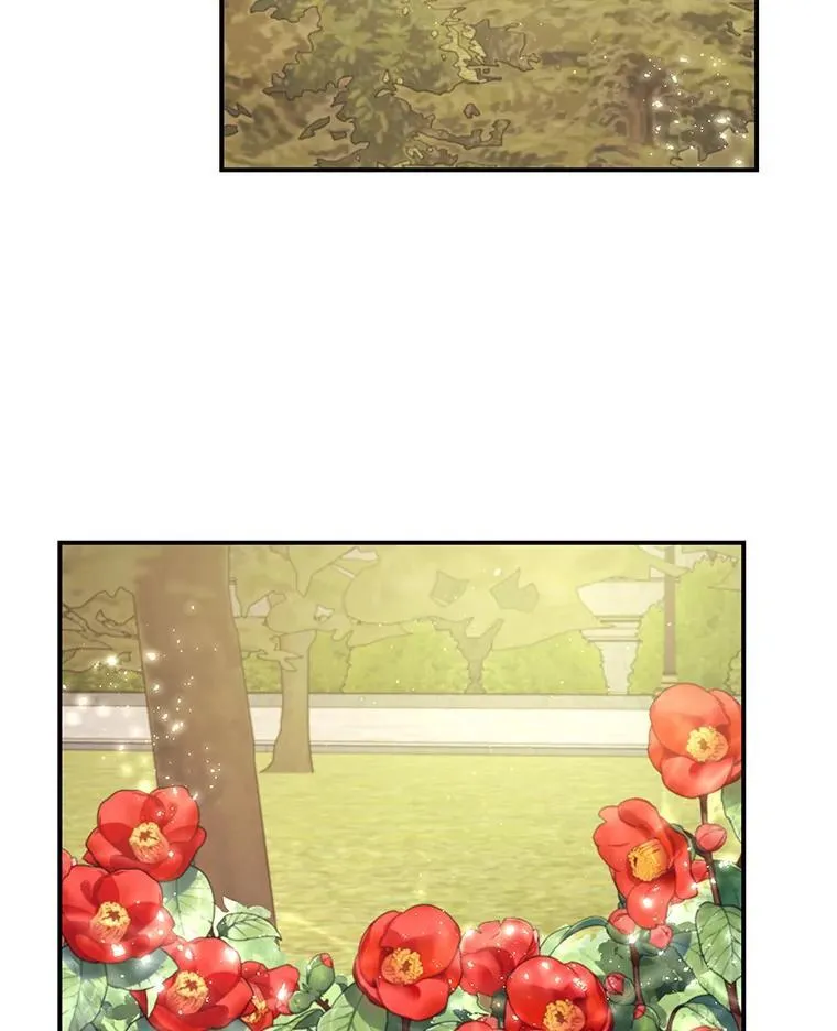 23.阿匹尔斯的伤口 第23页