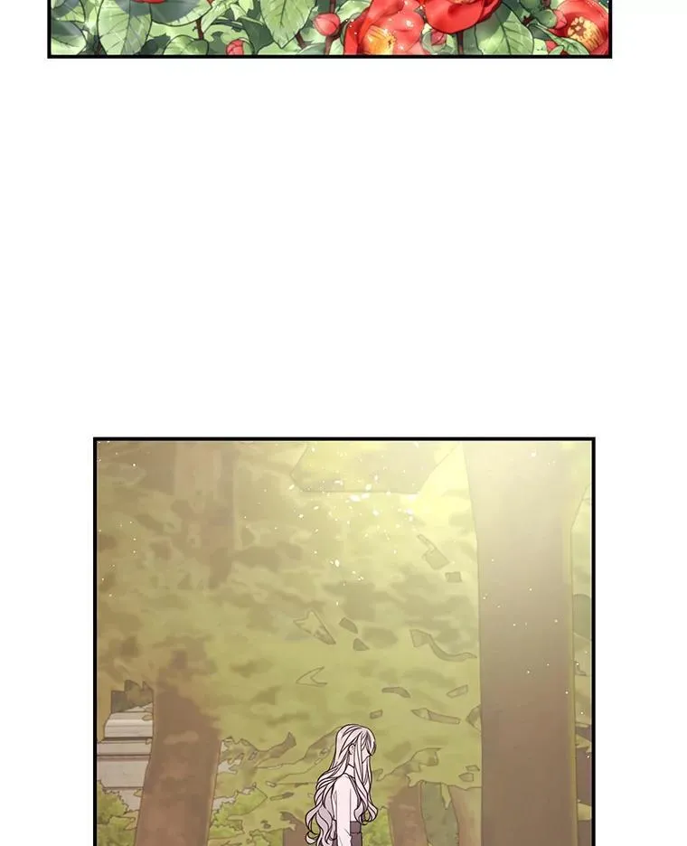 23.阿匹尔斯的伤口 第24页