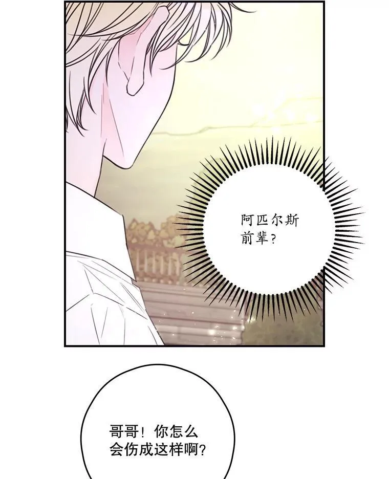 23.阿匹尔斯的伤口 第27页