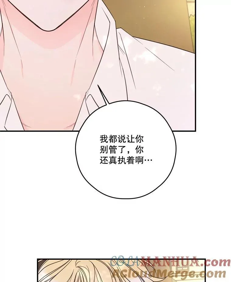 23.阿匹尔斯的伤口 第49页