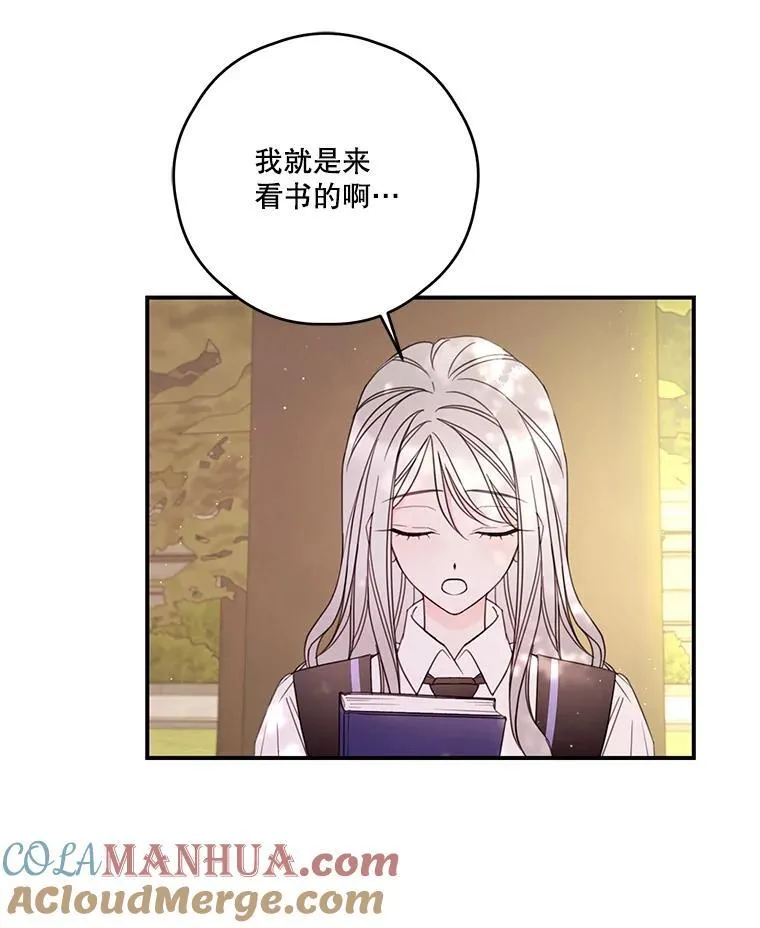 23.阿匹尔斯的伤口 第52页